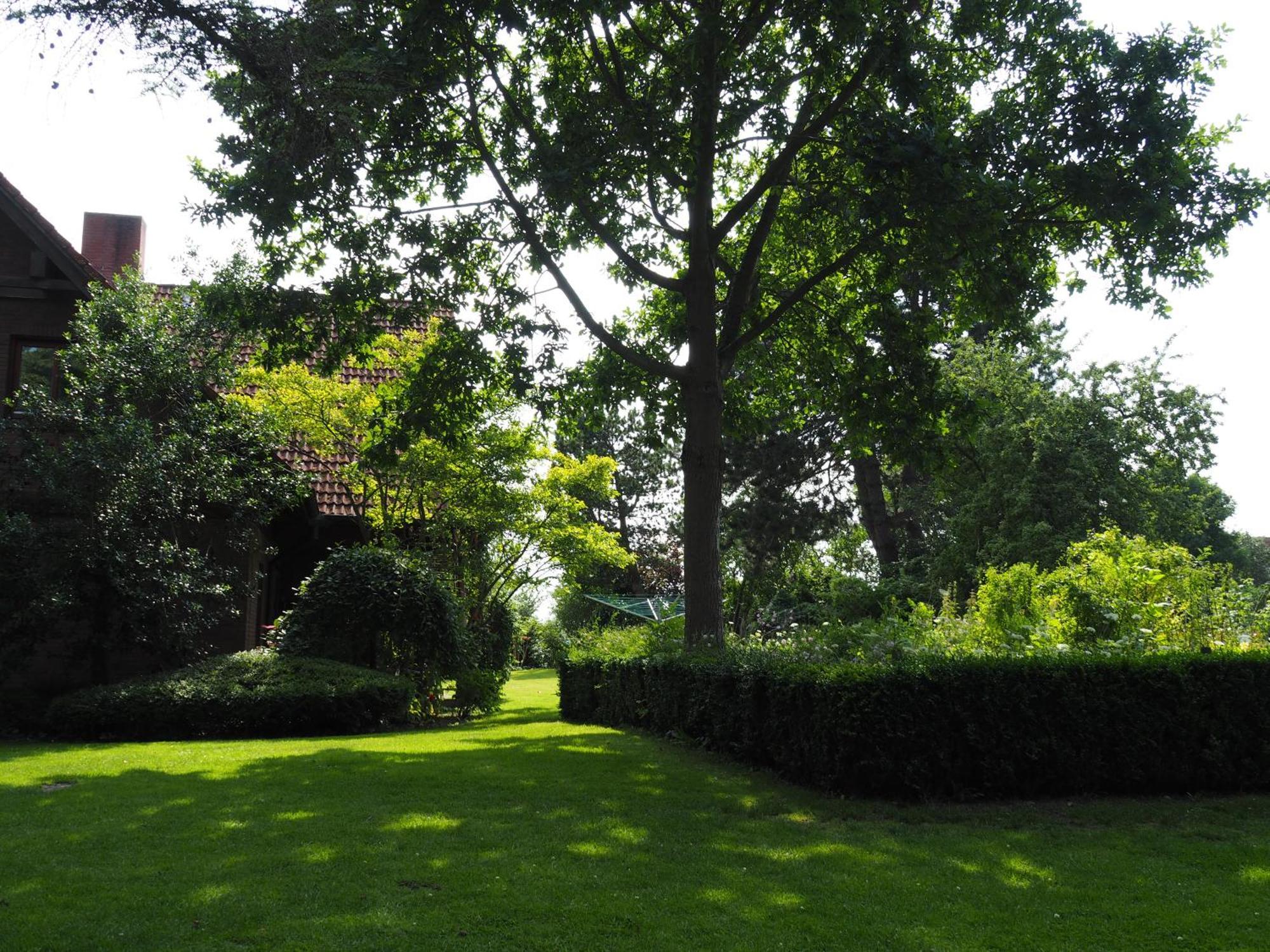 Dahmerhof المظهر الخارجي الصورة